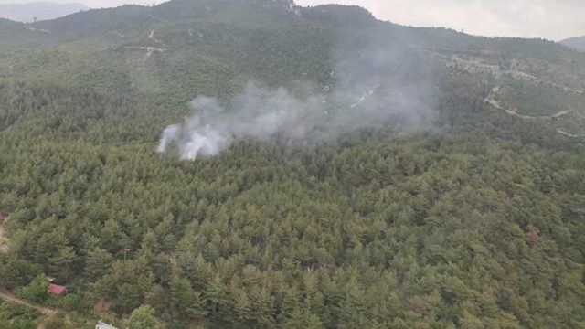 Osmaniye’de orman yangını! 20 dakikada kontrol altına alındı
