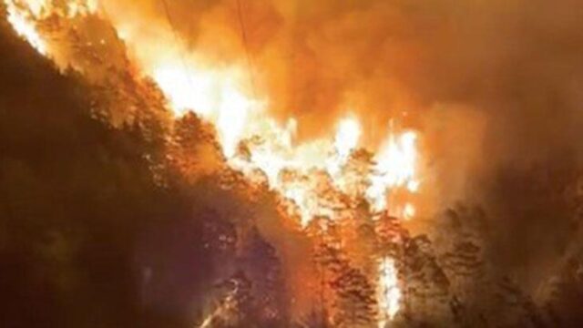 Alanya’da orman yangını! Ekipler müdahale ediyor